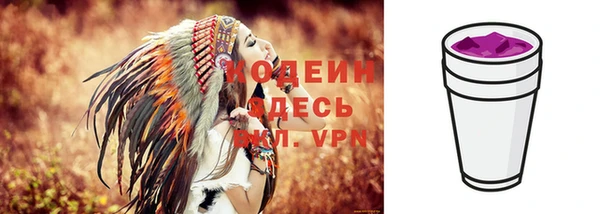 дмт Гусь-Хрустальный