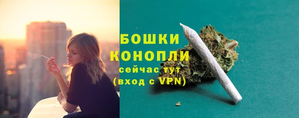 дмт Гусь-Хрустальный