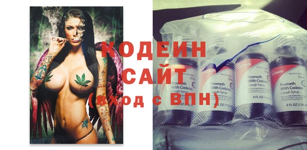 дмт Гусь-Хрустальный
