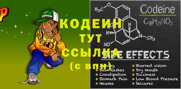 дмт Гусь-Хрустальный