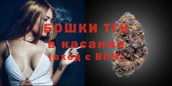 дмт Гусь-Хрустальный