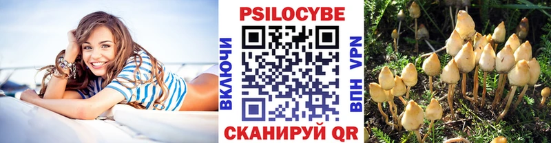 Купить закладки  Порхов  Псилоцибиновые грибы прущие грибы 